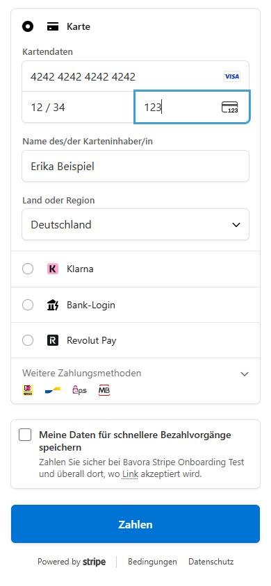Kartendaten eingeben und bezahlen